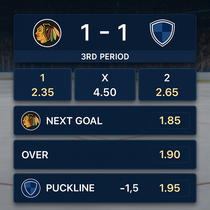 WildSino - Ice Hockey Betting - Live Betting
